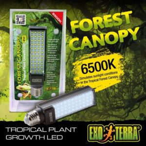 Exo Terra Forest Canopy LED 8W, PT2411