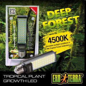 Exo Terra Deep Forest LED 8W, PT2409
