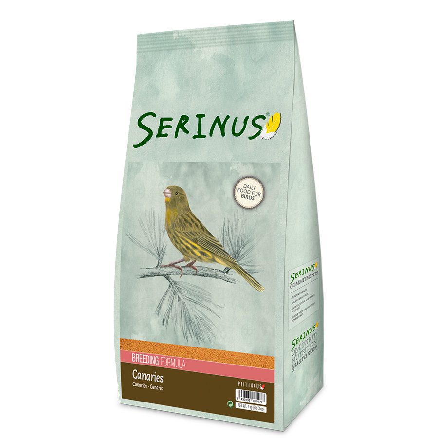 Serinus Canaries Breeding 1kg