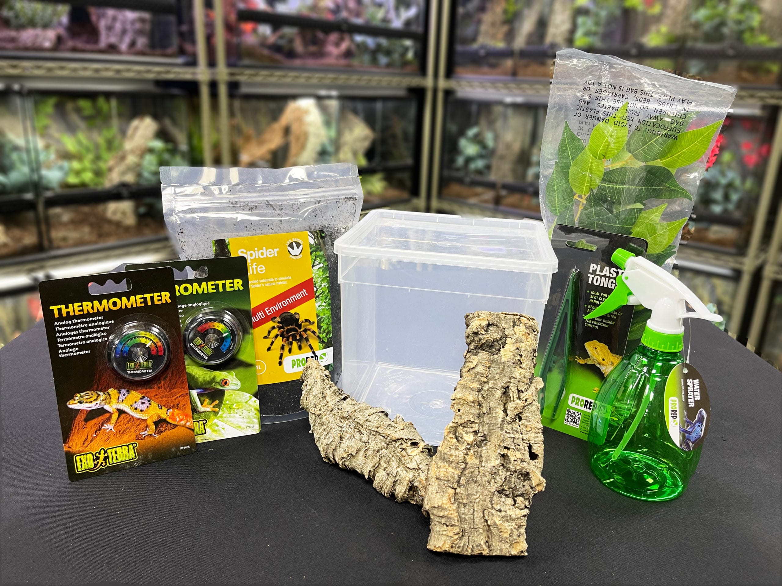 Bioactive Tarantula Enclosure Kits