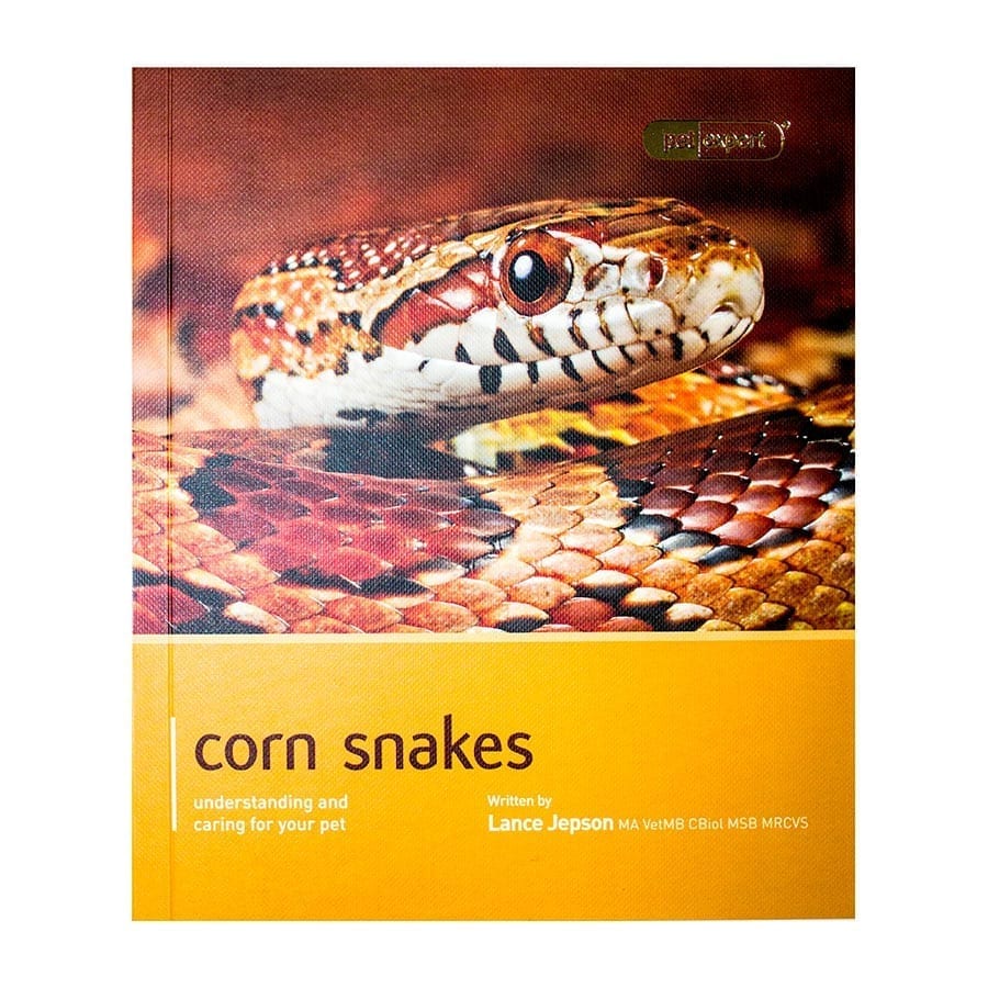 Pet Expert: Corn Snake