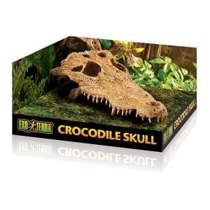 Exo Terra Crocodile Skull PT2856