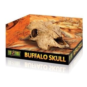 Exo Terra Buffalo Skull, PT2857