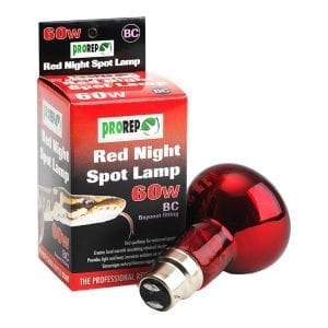 ProRep Red Night Spotlamp 60W BC