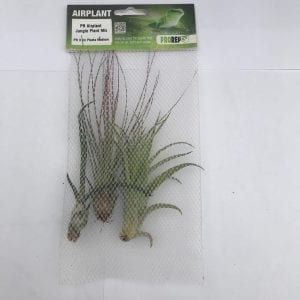 ProRep Airplant Jungle Plant Mix (3 Medium Plants)