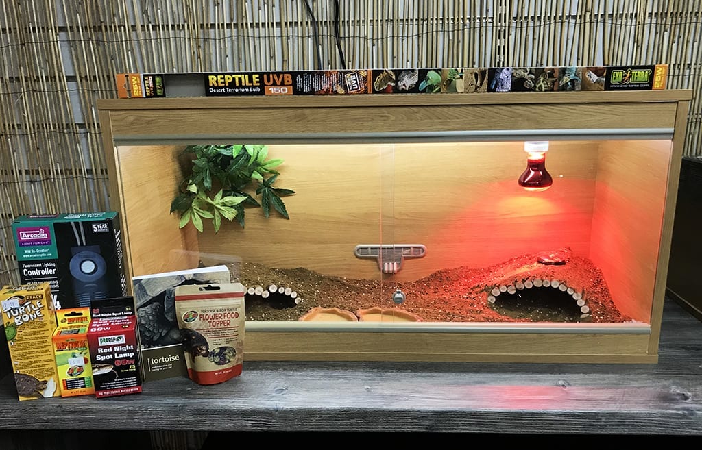 Tortoise vivarium shop with cabinet