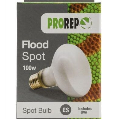 ProRep Flood Lamp 100w ES