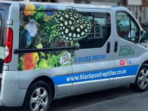 Blackpool Reptiles & Aquatics Reptile Courier Service