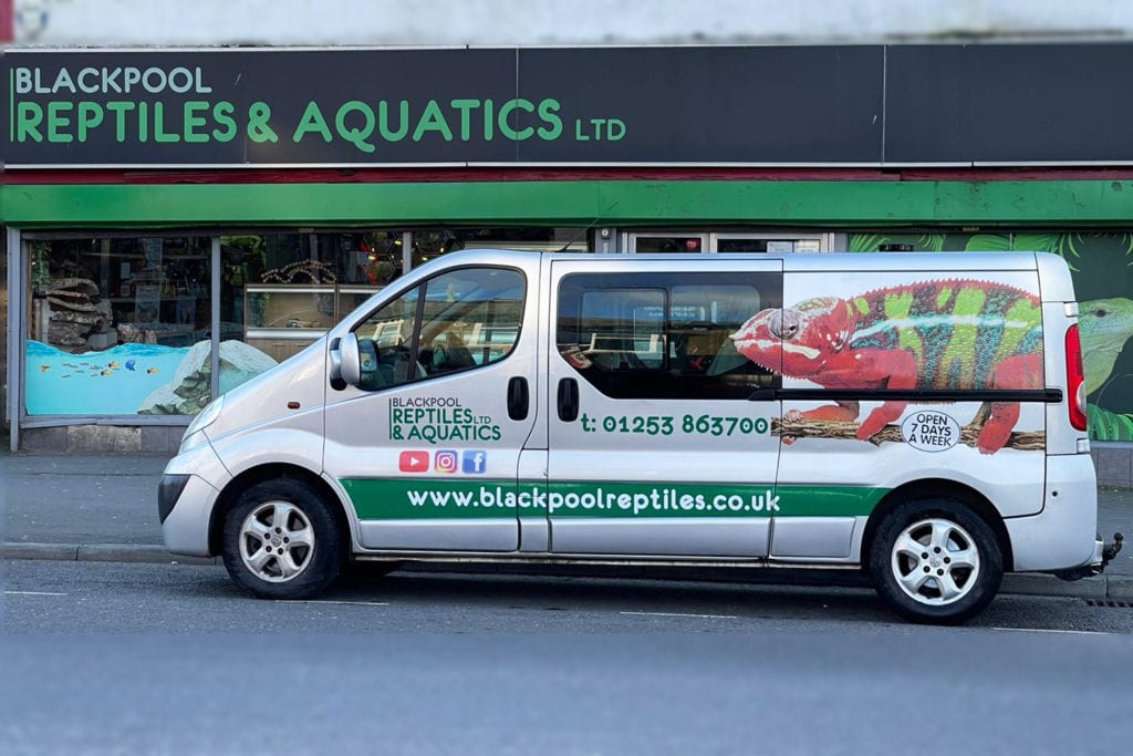 Blackpool Reptiles & Aquatics Reptile Courier Service